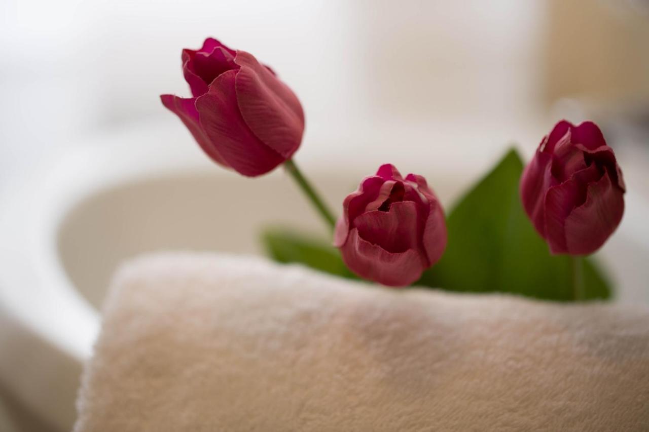 Al Molino Apartment Ливиньо Екстериор снимка